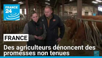 France : de nombreux agriculteurs dénoncent des promesses non tenues