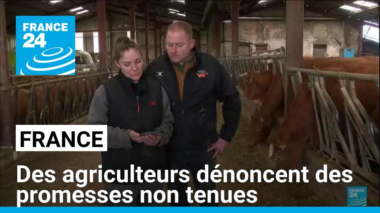 France : de nombreux agriculteurs dénoncent des promesses non tenues