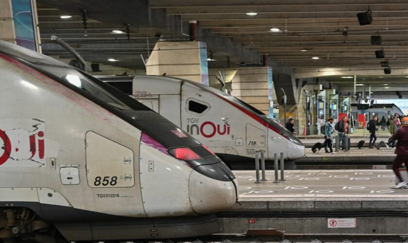 Grève à la SNCF : le trafic sera "quasi normal sur les TGV" jeudi, quelques lignes régionales perturbées