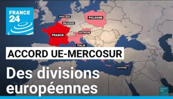 Projet d'accord UE-Mercosur : des divisions européennes