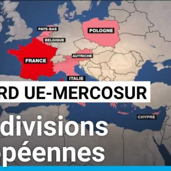 Projet d'accord UE-Mercosur : des divisions européennes