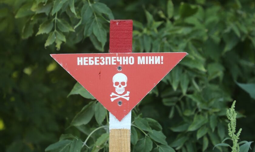 Un panneau "Danger ! mines !" dans le village de Kamianka, dans la région de Kharkiv, en Ukraine, le 14 août 2024.