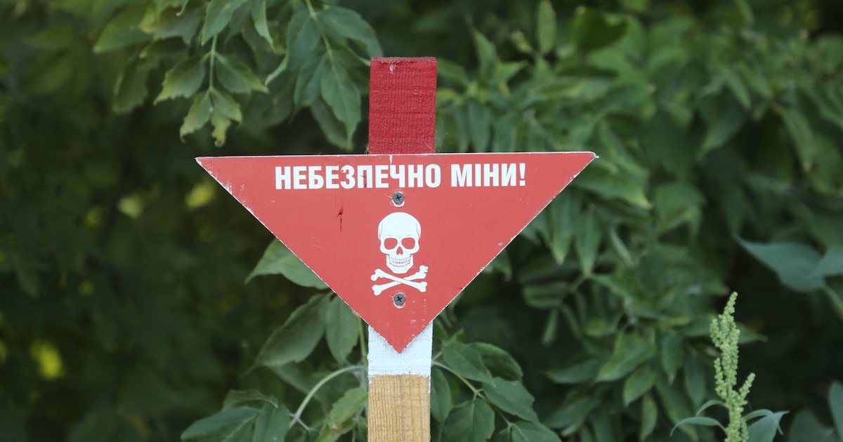 Un panneau "Danger ! mines !" dans le village de Kamianka, dans la région de Kharkiv, en Ukraine, le 14 août 2024.