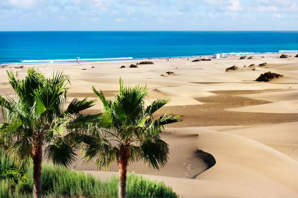 C'est le Sahara en bord de mer, cette plage unique est à visiter toute l'année - il y fait 25 degrés en plein hiver !