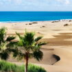 C'est le Sahara en bord de mer, cette plage unique est à visiter toute l'année - il y fait 25 degrés en plein hiver !