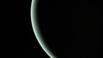 Uranus : les scientifiques aveuglés depuis quarante ans