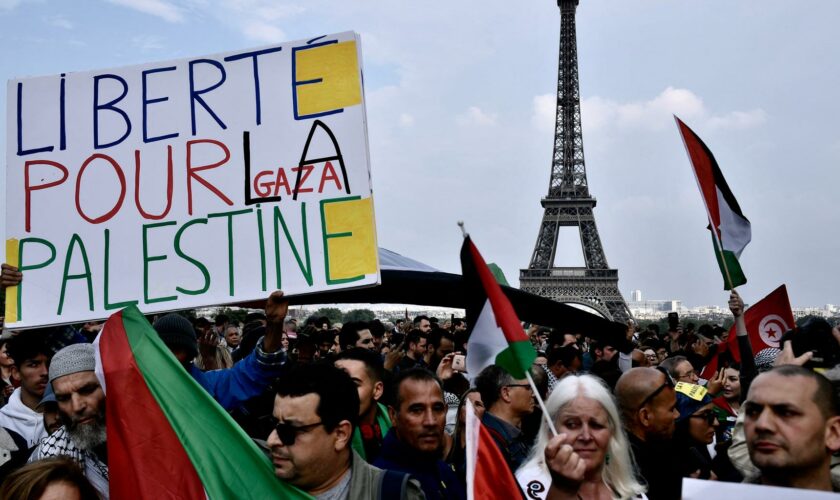 Un groupe d’amitié France-Palestine créé à l’Assemblée nationale