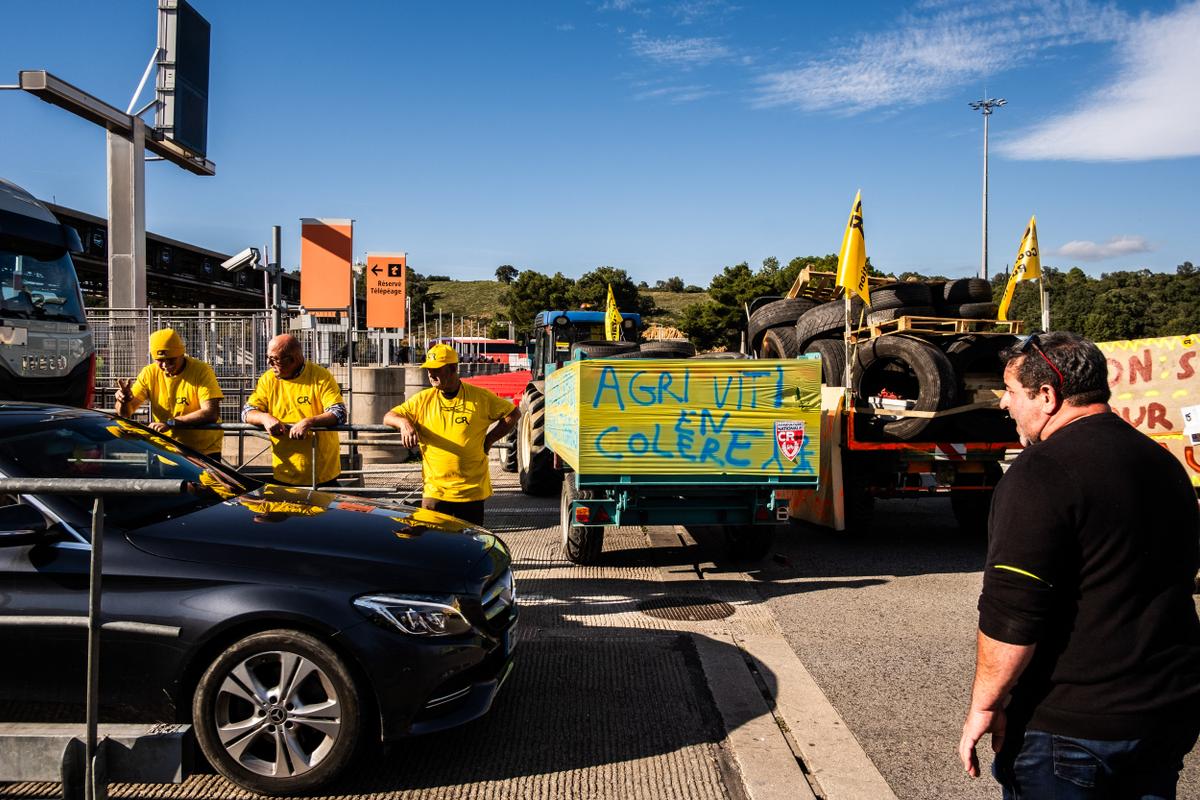 Colère des agriculteurs : levée du barrage de la Coordination rurale sur l’A9 à la frontière espagnole