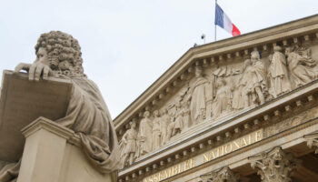 L’Assemblée nationale acte la création d’un groupe d’amitié France-Palestine