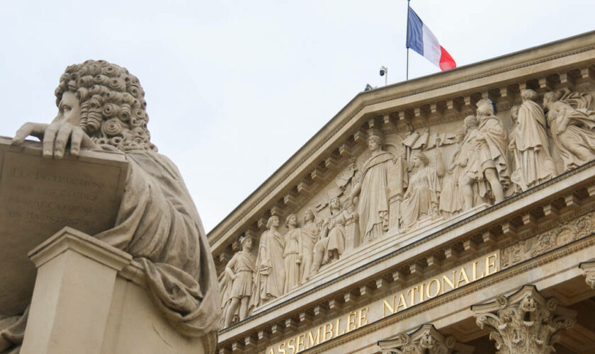 L’Assemblée nationale acte la création d’un groupe d’amitié France-Palestine