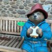 A Paddington bear statue has been moved to its new home in Cardiff Castle