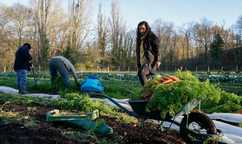 La sécurité sociale de l’Alimentation, une réponse à la crise agricole ?