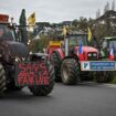 Colère des agriculteurs : FNSEA, Coordination rurale, Confédération paysanne… Qui sont les différents syndicats agricoles ?