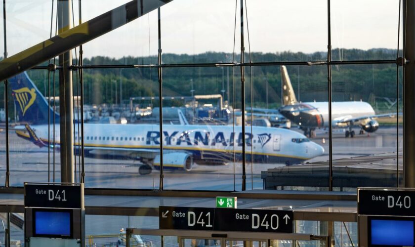 Flugverkehr: Ryanair will Angebot in Frankreich bei höherer Steuer reduzieren