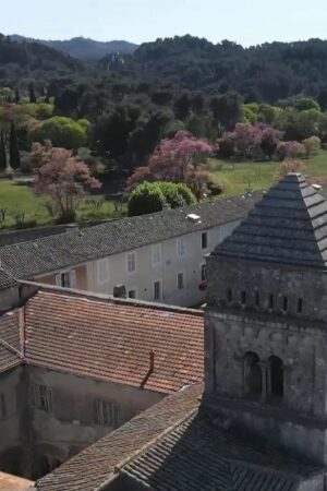 À la découverte du monastère Saint-Paul de Mausole, le lieu qui a inspiré Vincent Van Gogh