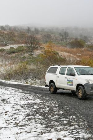 Dépression Caetano : 54 départements désormais placés en vigilance orange "neige-verglas" ou "vents forts" pour aujourd'hui