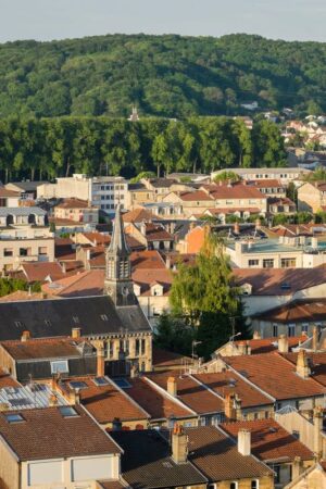 Dans la Meuse et les Vosges, les ventes ne décollent pas