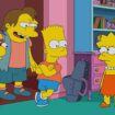 Pamela Hayden voiced Milhouse (L) for 35 years. Pic: 20th Century Fox/Everett/Shutterstock