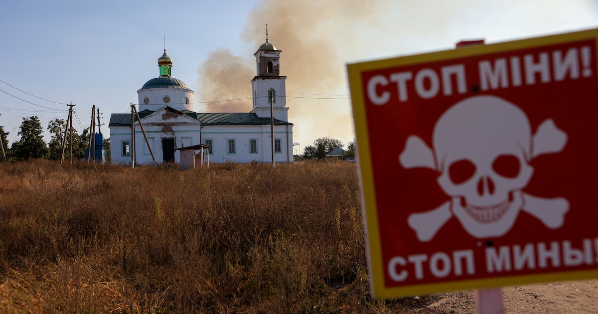 Un incendie s'est déclaré dans des champs de mines et des bandes forestières près du village de Grakovo dans la région de Kharkiv le 29 septembre 2023, qui a été désoccupé par les forces russes.