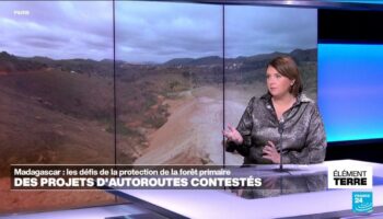 Madagascar: la construction de 2 autoroutes menace la forêt primaire