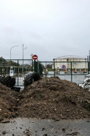 DIRECT. Colère des agriculteurs : le port de Bordeaux sera débloqué vendredi, annonce la Coordination rurale