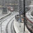 Neige, verglas et vents forts : un automobiliste gravement blessé à Nantes après la chute d'un arbre sur sa voiture