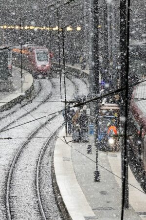 Neige, verglas et vents forts : un automobiliste gravement blessé à Nantes après la chute d'un arbre sur sa voiture