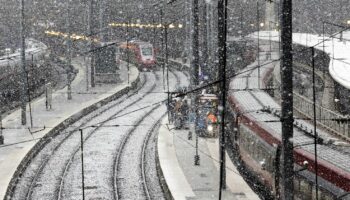 Neige, verglas et vents forts : un automobiliste gravement blessé à Nantes après la chute d'un arbre sur sa voiture