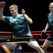 Tennis de table : Alexis Lebrun sorti en simple comme son frère, mais les deux en demi-finales du double des WTT Finals face à un autre duo français