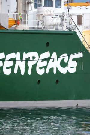 Greenpeace France quitte X (ex-Twitter), l’accusant de favoriser le « climatoscepticisme »