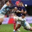 Rugby : le XV de France dompte l'Argentine et termine sa tournée d'automne invaincu