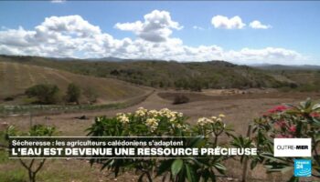 Nouvelle-Calédonie : l'eau, une ressource devenue précieuse pour les agriculteurs