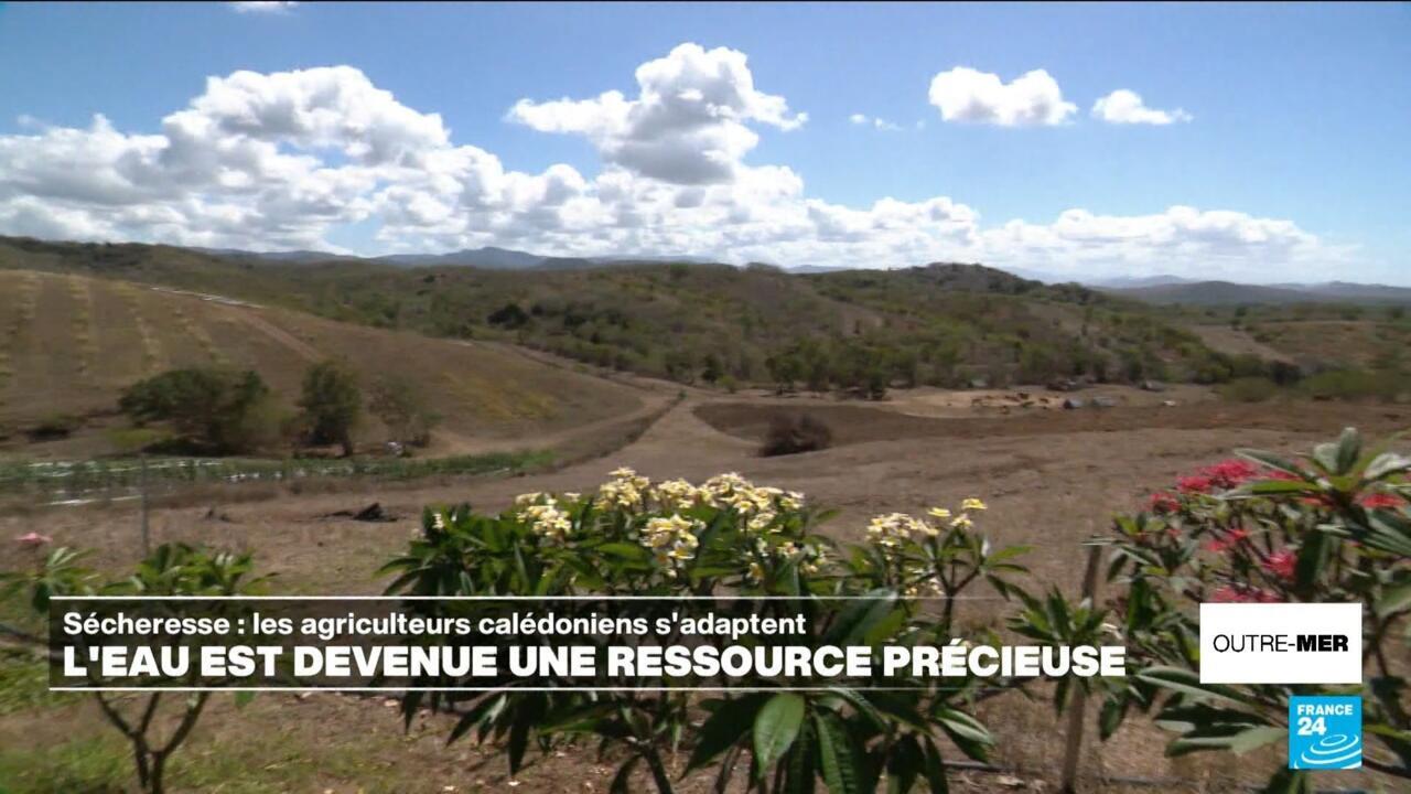 Nouvelle-Calédonie : l'eau, une ressource devenue précieuse pour les agriculteurs