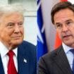 Le chef de l'Otan Mark Rutte a rencontré Donald Trump au États-Unis