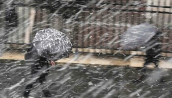 Tempête Caetano : 47 000 foyers en France sont encore sans électricité