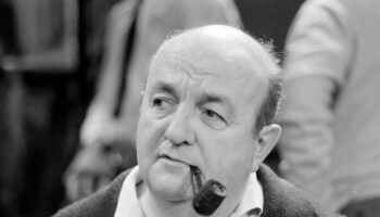 « Bernard Blier façon puzzle », le tonton flingueur