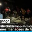 Témoignage : près de 2,5 millions de personnes menacées de famine à Gaza