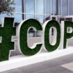 COP29 : ces 4 points à retenir de l’accord arraché à la fin de la conférence sur le changement climatique