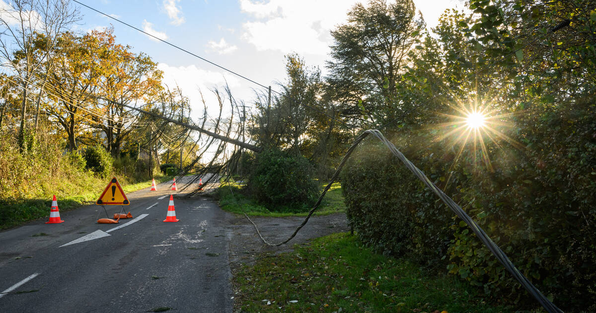 Tempête Caetano : 10 000 foyers encore privés d’électricité en Normandie et Pays de la Loire, six départements en vigilance orange