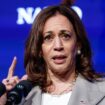 Harris disappears from spotlight, vacations in Hawaii after election loss