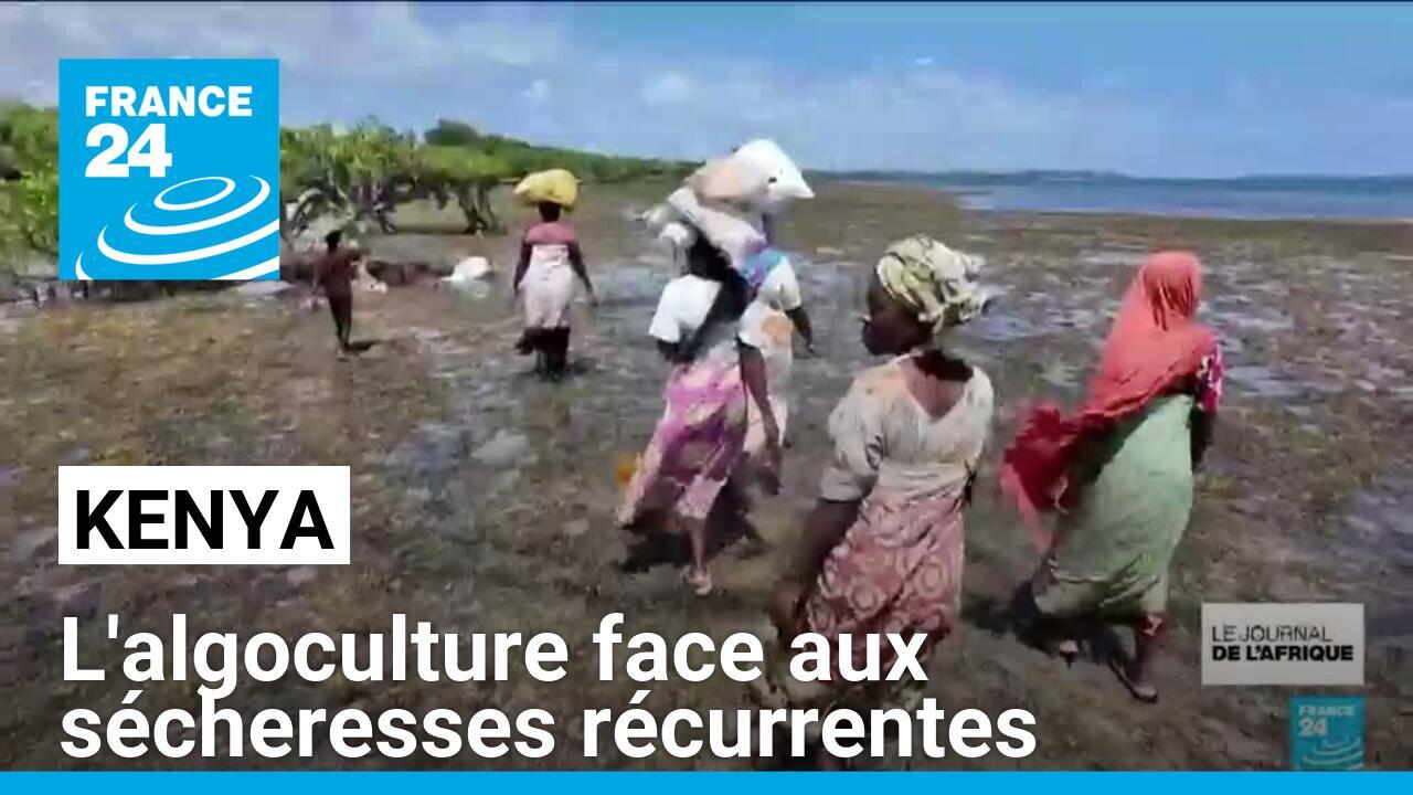 Kenya : l'algoculture pour vivre de la mer, face aux sécheresses récurrentes