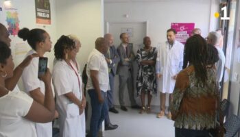 Martinique : inauguration d'un premier centre régional des pathologies professionnelles et environnementales