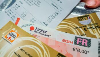 INFO FRANCE INFO. Tickets-restaurant : en 2023, 14 milliards d'euros ont "directement bénéficié" aux acteurs économiques, selon une étude.