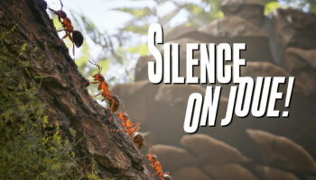 Silence on joue ! «Les Fourmis», «Threshold», «Metal Slug Tactics», «Shogun Shodown»