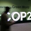 COP29 : l'aide promise aux pays du Sud est deux fois moins importante qu'espérée