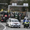 Blocages des agriculteurs, en direct : quelles actions cette semaine ? Le Parlement européen dans le viseur