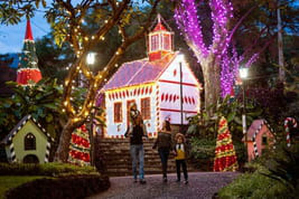 Ce marché de Noël est unique en Europe, il y fait 20 degrés et le village illuminé est sublime