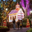 Ce marché de Noël est unique en Europe, il y fait 20 degrés et le village illuminé est sublime