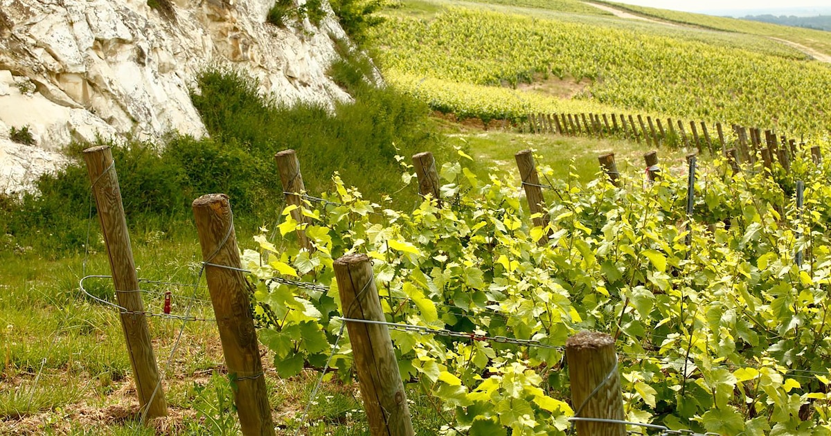 La Côtes aux Enfants juchée sur une colline calcaire aux abords d’Aÿ