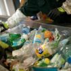 "Réemploi", "recyclage", "surcyclage", "décyclage"… Comment sont traités les différents déchets plastiques ?